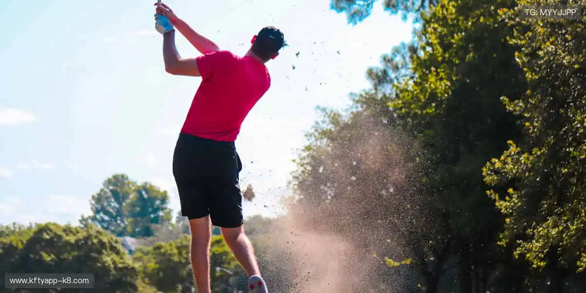 一站式博彩导航网：收录全网信誉平台，为您的博彩之路护航